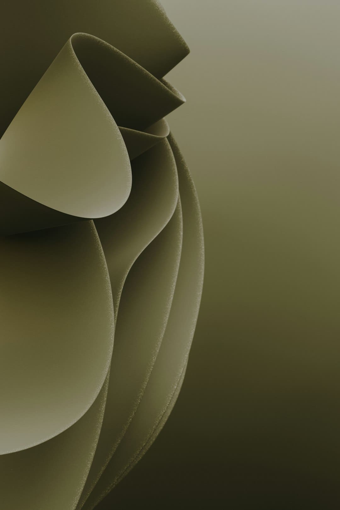 https://static.ws.126.net/163/frontend/images/2022/empty.png